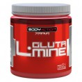 L-Glutamine Pote 300 Gr 